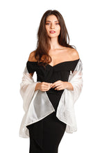Load image into Gallery viewer, Silky Iridescent Ivory Pashmina Shawl