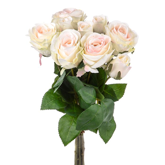 Bunch Cream Roses